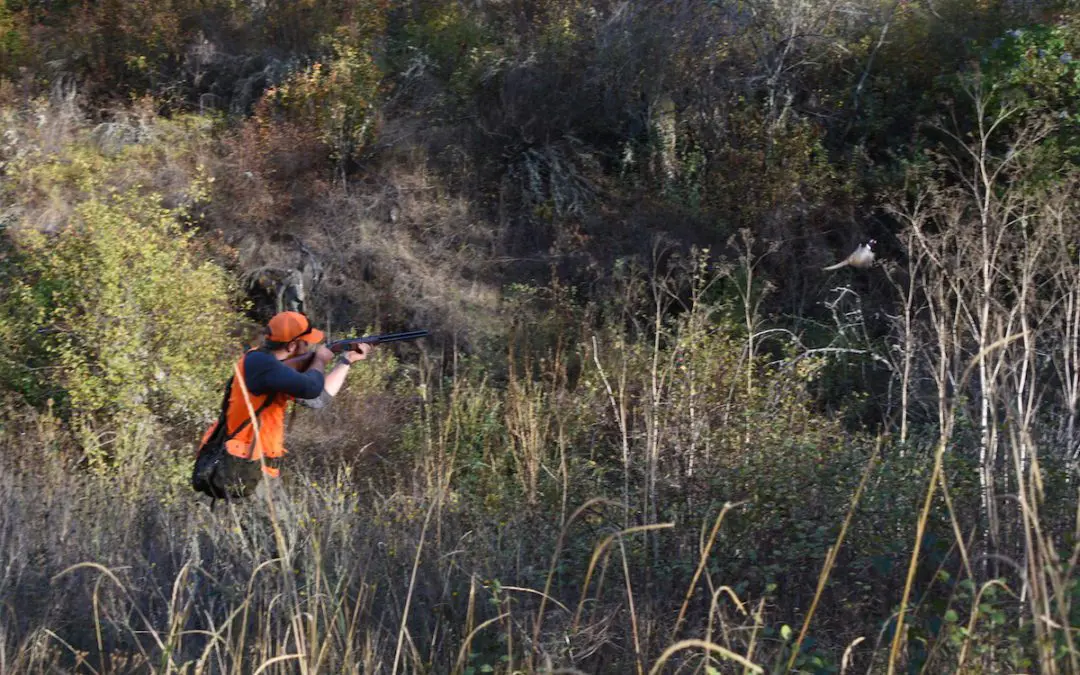 Flying B Ranch, A Fin, Upland And Big Game Hunting Lodge