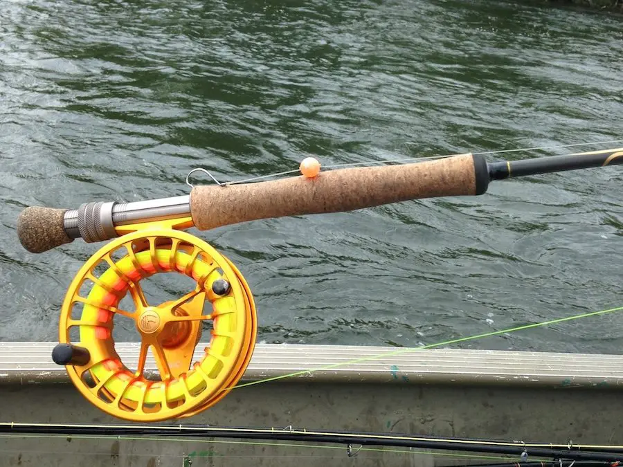 Trout Fishing Tips and Tricks