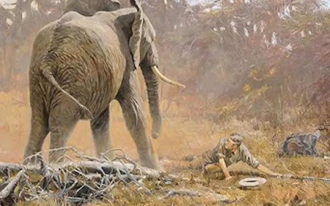 The Elephant’s Got the Gun