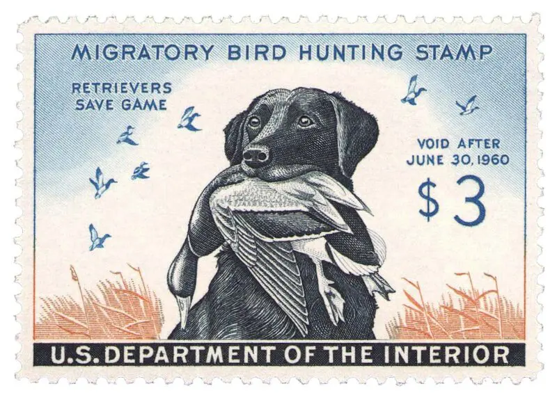Maynard Reece duck stamp dog
