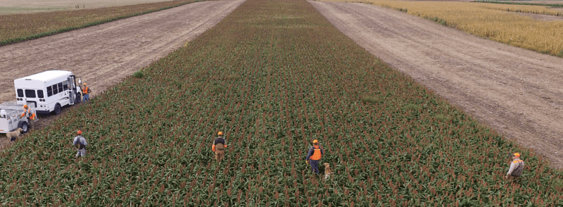 drone photo of hunters in field
