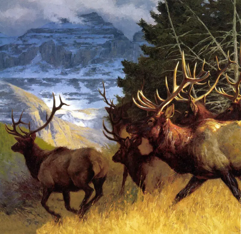 Greg Beecham Wildlife Artist Coming Home
