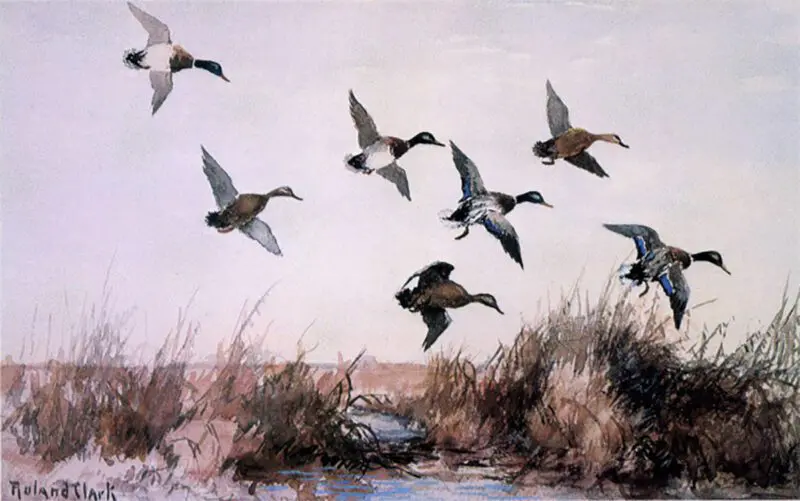 Roland Clark The Artist of Hunters