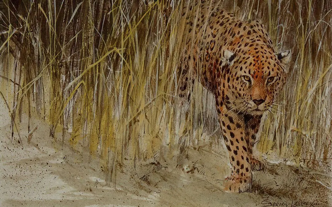 The First Leopard