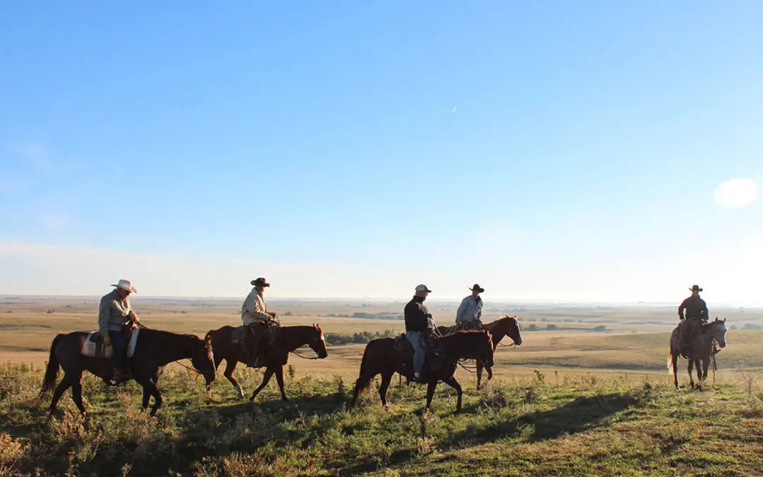 Home on the Range