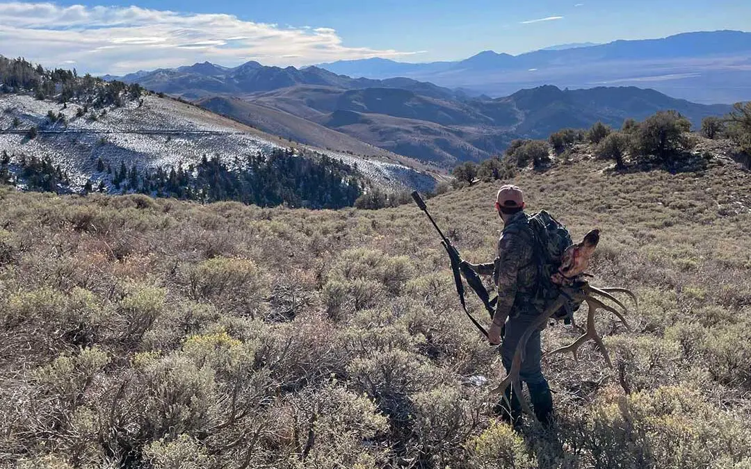 The Final Chapter: A Nevada Bull Elk Hunt