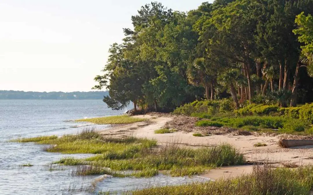 Roger Pinckney: High Priest of Daufuskie Island