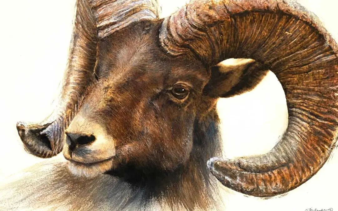 Julie Bender: With Pyrography and Paint, She Confirms Her Rightful Place as a Wildlife and Western Artist