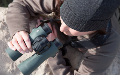 5 Factors to Choosing the Best Hunting Binoculars