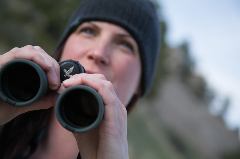 best binoculars for hunters