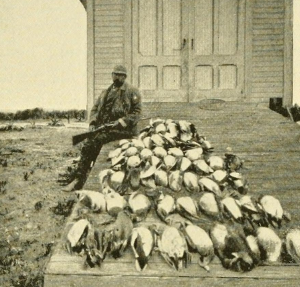 Photos: Hunting and Fishing in Florida Circa 1900 - Sporting Classics Daily