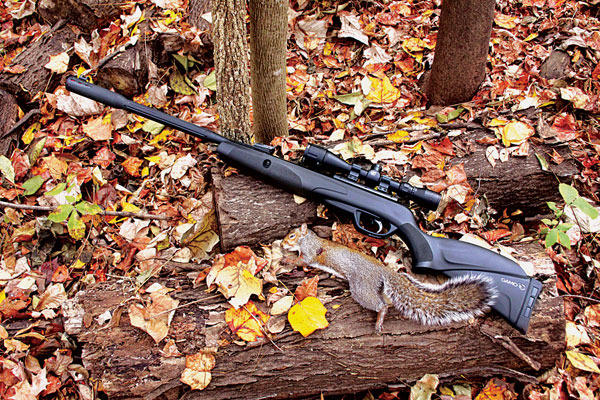 Classic .22 Rimfires That Still Make Great Squirrel Hunting Rifles