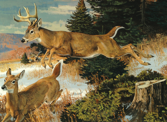 Whitetail Hunting in 1810