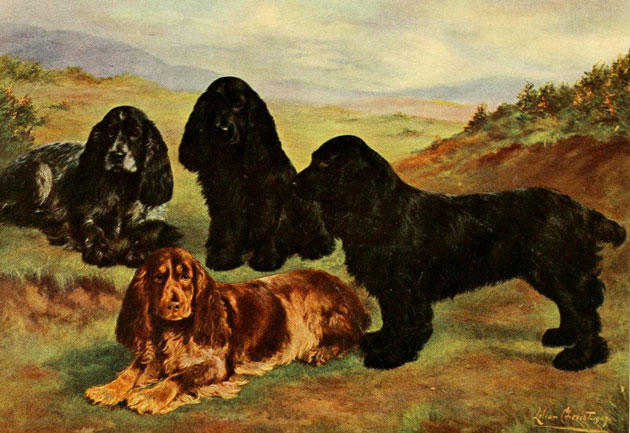 12 Striking Dog Illustrations from the Early 1900s