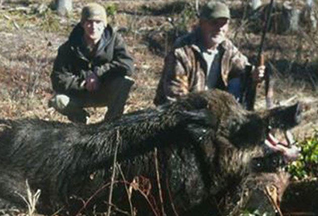 Father and Son Slay Monster 700-Pound Hog