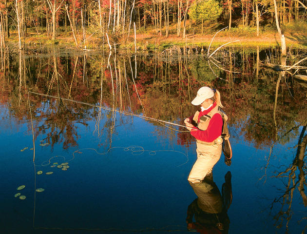 Consider the Pond