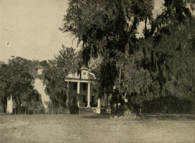 wild turkey hunting Archibald Rutledge plantation