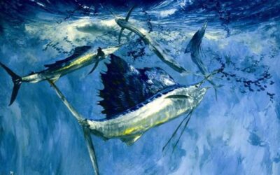 The Trophy Cost More Than the Fish