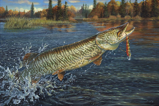 When the Muskies Went Wild - Sporting Classics Daily