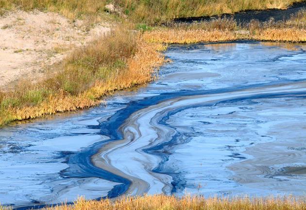 Busted: Couple Forges Fishing License for Deepwater Horizon Settlement Money