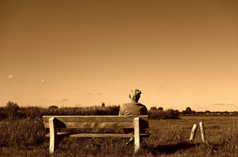 old man on bench in field