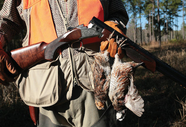 How Upland Bird Hunters Can Stay Safe in the Field