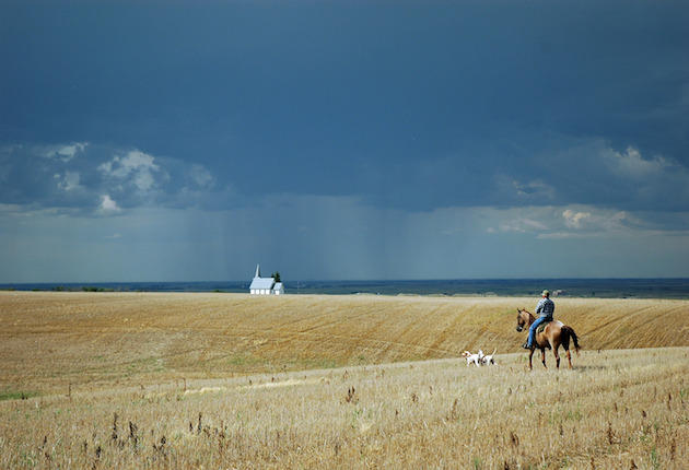 Go West Young Dog – On the Prairie