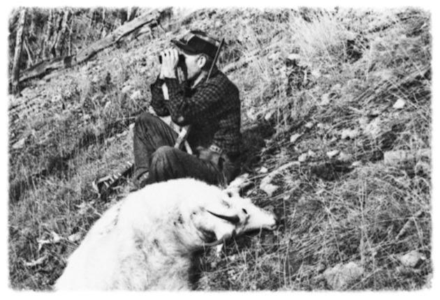 Mountain Goat Hunting with the 7mm Rem. Mag.