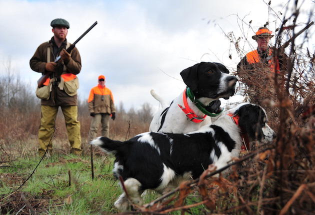 Dispatch No. 3: Kentucky’s Deer Creek Lodge