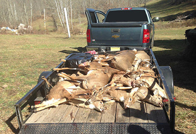 West Virginia Game Wardens Find Pile of Illegal Deer