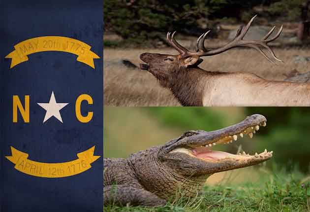 North Carolina Mulling Elk, Alligator Seasons