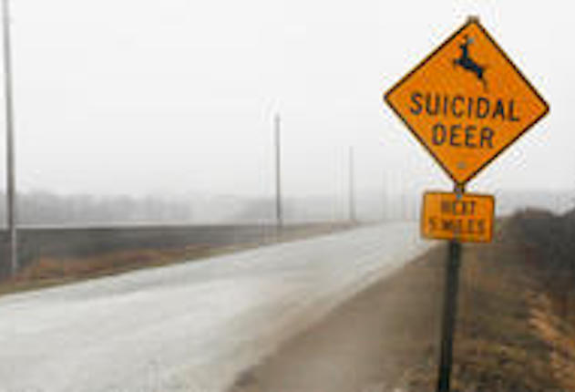 "Suicidal Deer" Draw Ire of Illinois Community