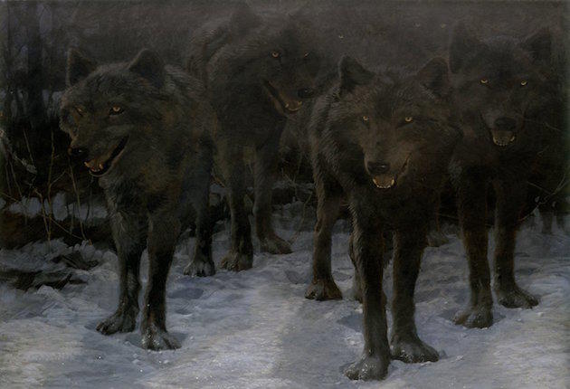 Заколдованный волк. Художник John Seerey-Lester. Волк в пт. Ночные Дикие волки. Встреча Путина с ночными волками.