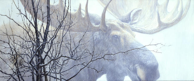 "Moose Hair," 20x48 Oil on Belgium Linen