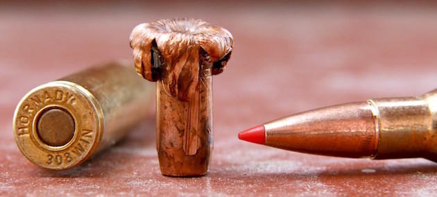 This Hornady 165-grain GMX fired from .308 Winchester Steyr Scout rifle passed lengthwise through a hog and weighed 163 grains when recovered.