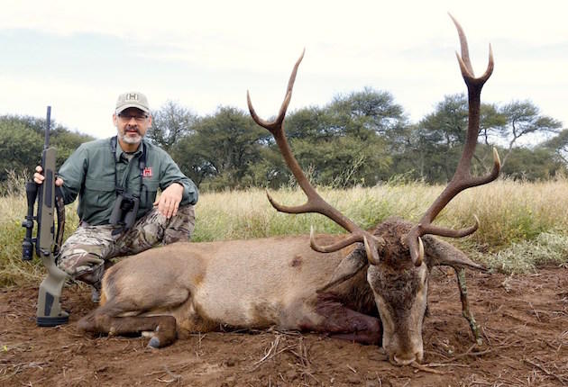 Hunting the Other Elk in Argentina