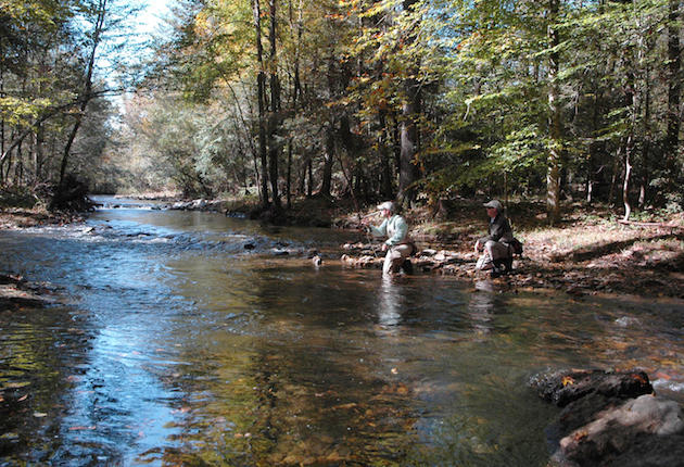 TROUT FISHING - Wilson Creek