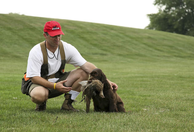 Training a Gundog: It Takes More Than One Month!