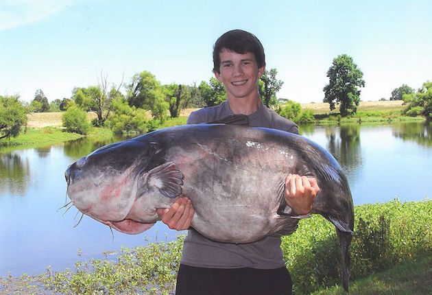 Boy Catches N.C. Catfish Record