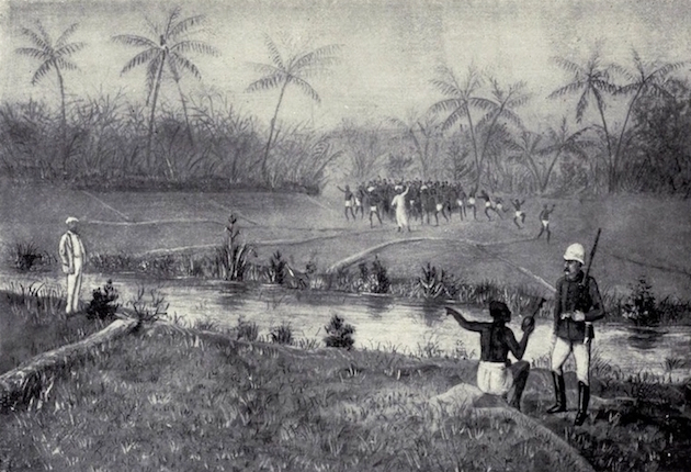 Will you shoot a tiger? Plate I