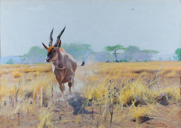 "Eland," watercolor, gouache, and pencil on paper, 17½ x 24½ inches. Estimate: $25,000-$35,000.