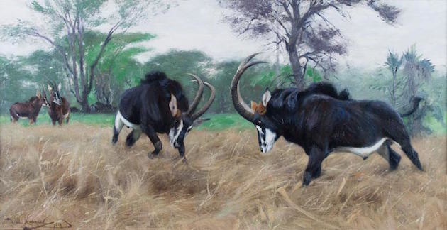 "Sable," oil on canvas, 15x 28 inches. Estimate: $30,000-$50,000.