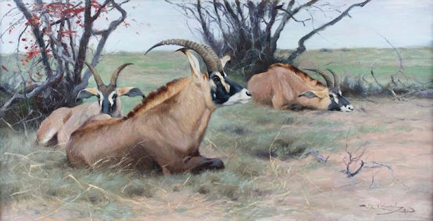 "Roan Antelope Resting in the Shade," oil on canvas, 14½ x 28¼ inches. Estimate: $30,000-$50,000.