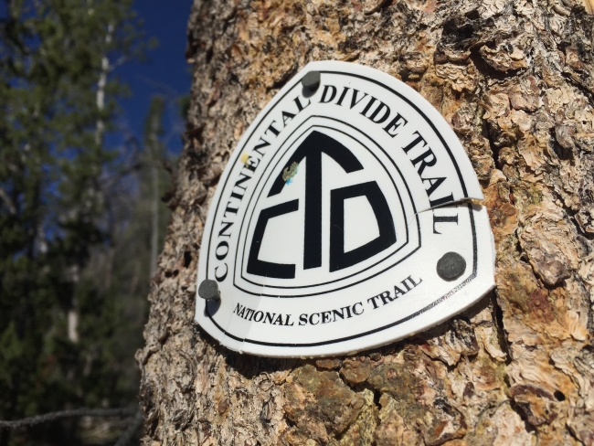 The Continental Divide Trail is well marked with old slashes in tree bark and newer triangles of metal placed well above the snow line. (Photo: Kris Millgate/Tight Line Media)