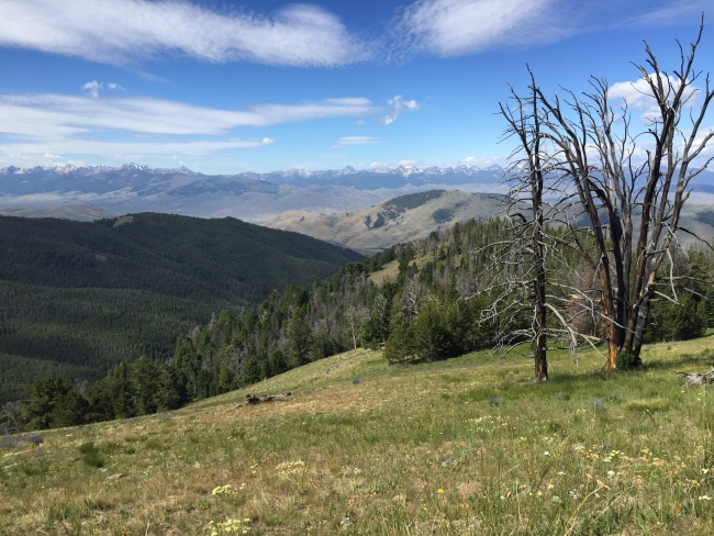 Looking into Idaho via the Continental Divide Trail in central Idaho. (Photo: Kris Millgate/Tight Line Media)