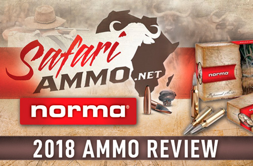 2018 Ammo Review