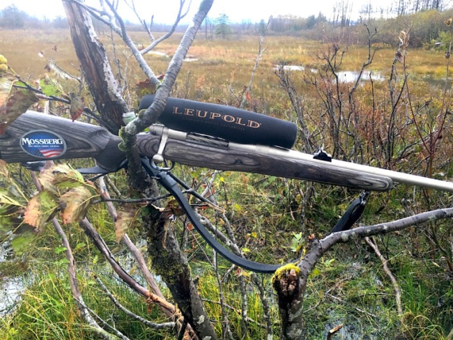 Mossberg's Patriot in .375 Ruger hangs from the limbs of an alder at the edge of a wet meadow where the author called for moose. They didn't answer.