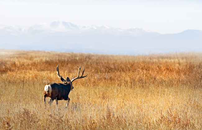 They grow 'em big out West. (Photo: Vic Schendel)