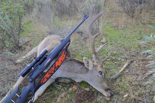 The author's first European trophy, a fallow deer buck. He shot a Merkel RX Helix topped with a Kahles Helia 5 scope and a Dentler scope base. The ammunition was from Norma Precision.