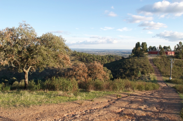 Monteria country is beautiful country. The hills of our hunting acreage drop quickly away to the flat plains of central southern Portugal.